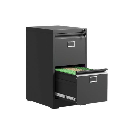 Steel Vertical 2 Drawer Filing Cabinet Cupboard Locker Swan Handle With Card Slots - Black