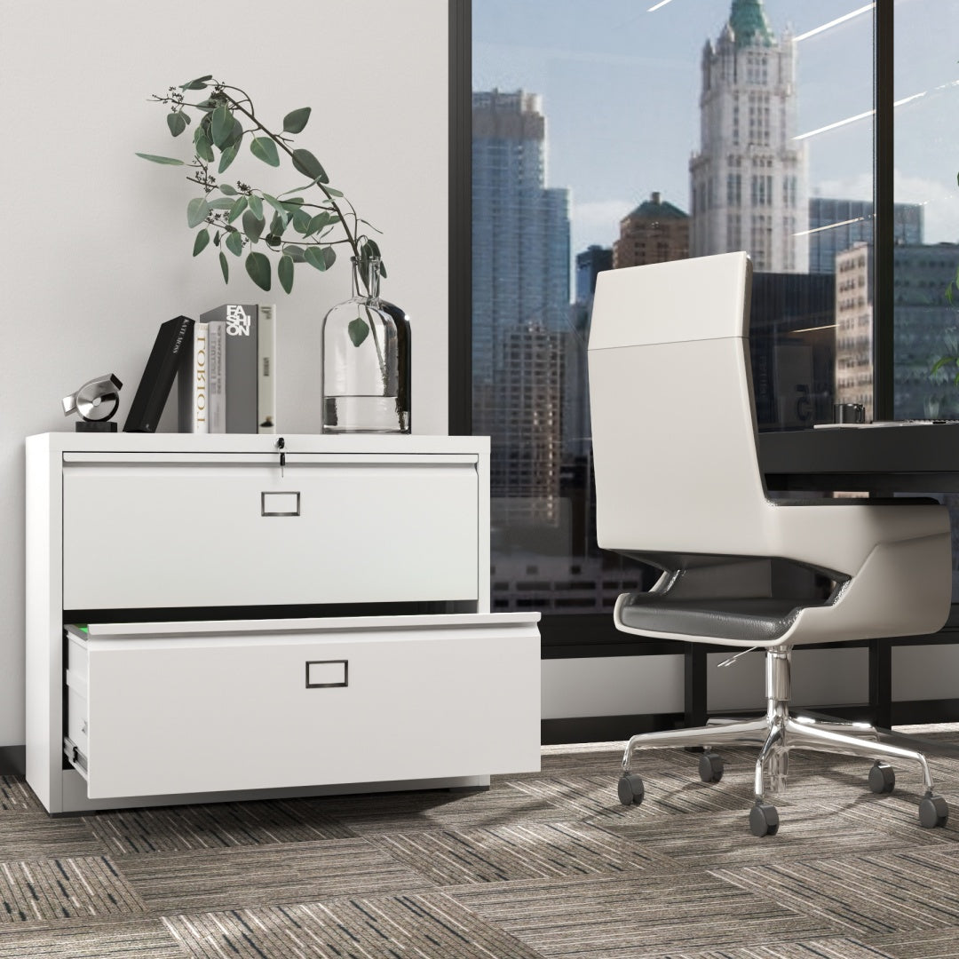 Steel Lateral 2 Drawer Filing Cabinet Cupboard Locker Swan Handle With Card Slots - White