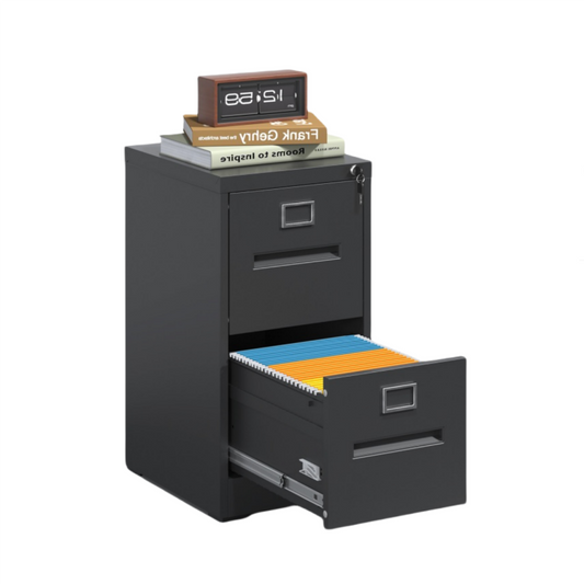 Steel Vertical 2 Drawer Filing Cabinet Cupboard Locker Inner Handle With Card Slots - Black