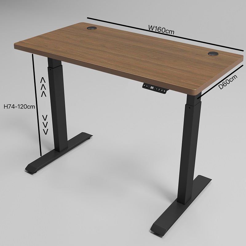ERGONOMIC 160cm Dual Motor Electric Adjustable Height Sit-Stand Home/Office Desk - Walnut
