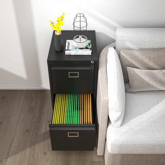 Steel Big Size Vertical 2 Drawer Filing Cabinet Cupboard Locker Swan Handle With Card Slots - Black