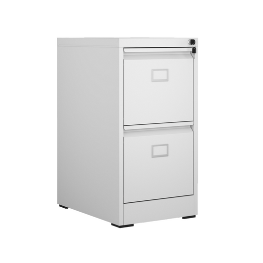 Steel Big Size Vertical 2 Drawer Filing Cabinet Cupboard Locker Swan Handle With Card Slots - White
